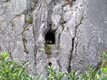 Loc. Sistiana: apertura nella parete rocciosa