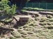 Loc. Voltri (c/o parco di villa Duchessa di Galliera): bunker