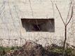 Loc. Tornavento: bunker sul Canale Villoresi, particolare