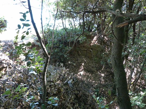 Loc. Monte Brione: piazzola