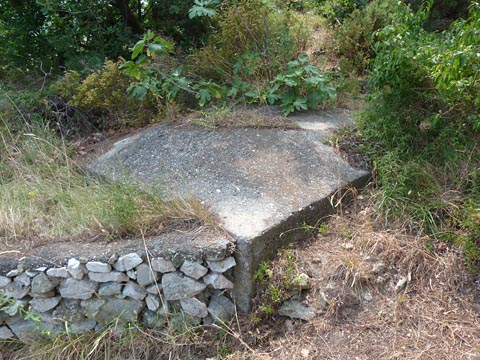 Loc. Pineta: 'tobruk'