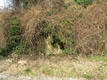 Loc. San Nicol�, via Selva: bunker
