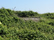 Strada dei Murazzi (altezza di via Pividor): bunker